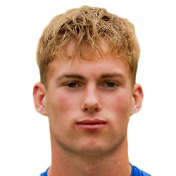 Arjen van der Heide