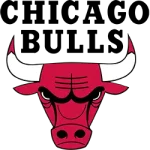 Bulls Bulls