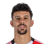 Tomás Araújo Tomás Araújo
